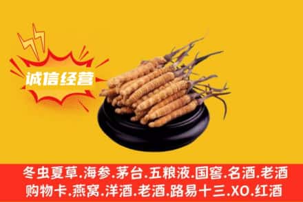 汕尾海丰县回收冬虫夏草